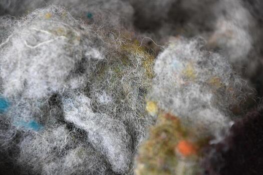 Carded Wool Fleece Ready for Processing Threads photo