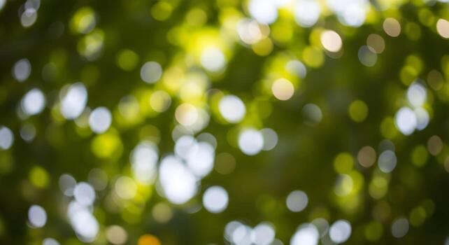 Abstract bokeh light effect background with soft circular light patterns from sunlight through foliage, high-resolution and natural photo