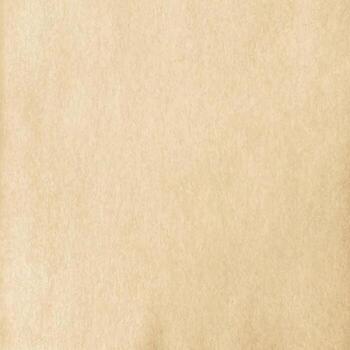 Textured beige background vector