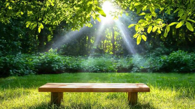 serene forest clearing with wooden bench and soft sunlight filtering through leaves photo