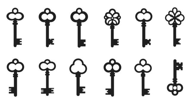 A set of keys with different designs vector