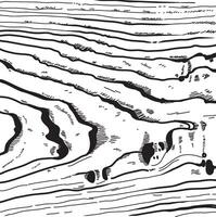 Wood Texture Lined Illustration vector