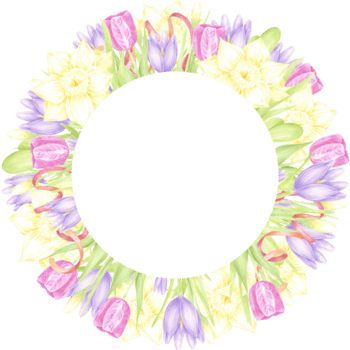 mão desenhado aguarela narciso tulipa e açafrão com vermelho fita guirlanda quadro, Armação fronteira em branco fundo. pode estar usava para cartão postal, convite, página de recados e de outros impresso produtos png