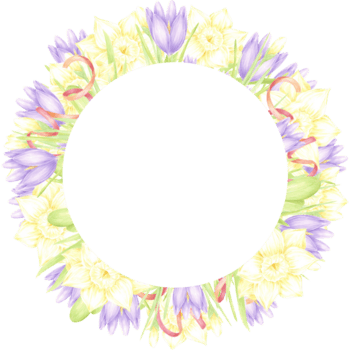 mão desenhado aguarela narciso e açafrão com verde folhas e vermelho fita guirlanda quadro, Armação fronteira isolado em não fundo. pode estar usava para cartão postal, convite, página de recados e de outros impresso produtos png