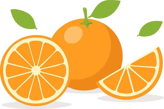 Citrus fruit illustration showing vibrant orange with slices, refreshing and minimal design vector
