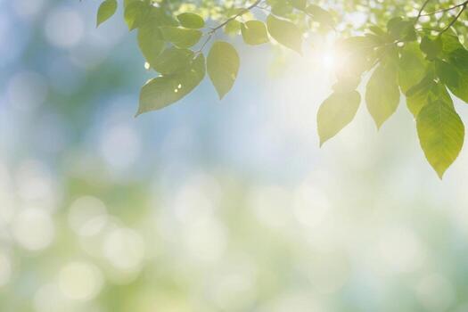 el árbol con hojas y Dom brillante en eso azul borroso antecedentes en sutil bokeh a espalda y espacio para texto foto