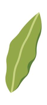 Curved Leaf with Simple Lines vector