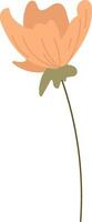 soltero floreciente flor vector