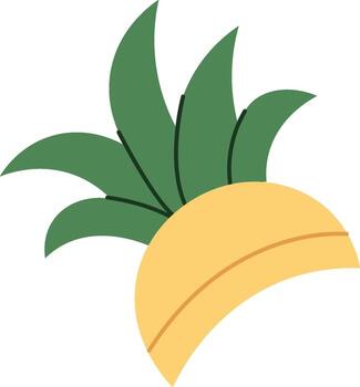piña forma sombrero vector