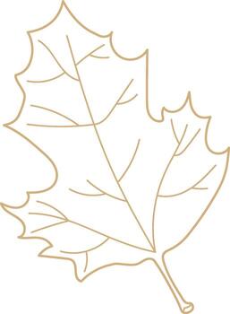 Lined Maple Leaf vector