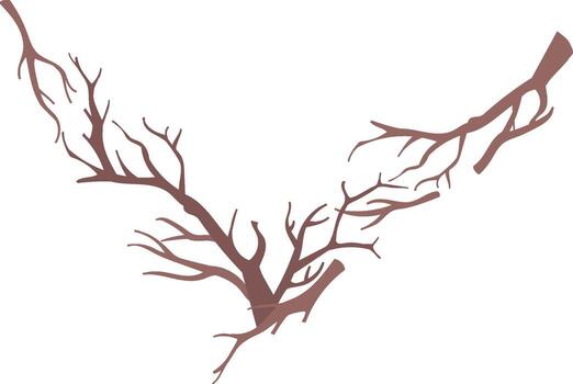 Bare Tree Branches Angle Frame vector