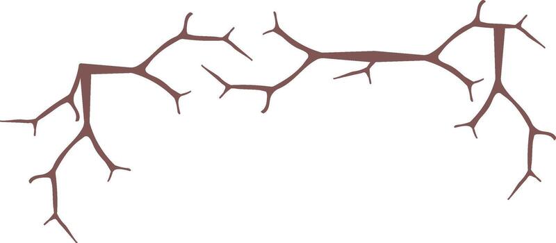 Branches with Twisted Twigs Frame vector