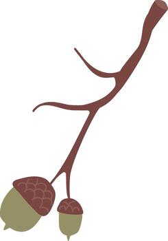 Acorn Branch with Two Nuts vector