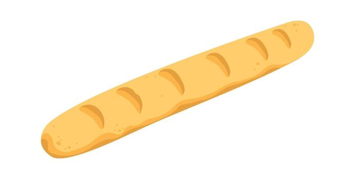 Baguette with Textured Surface vector