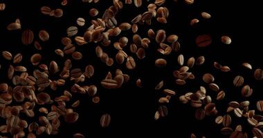 arrostito caffè fagioli volare nel a partire dal tutti e due lati e autunno nel lento movimento su un' trasparente sfondo, dinamico movimento. video