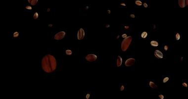 caffè fagioli salire e delicatamente autunno nel lento movimento su un' trasparente sfondo, evidenziazione ricco struttura, caldo colore, e dinamico movimento. video