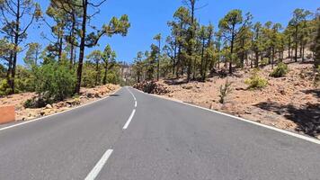 A road with trees on both sides and video