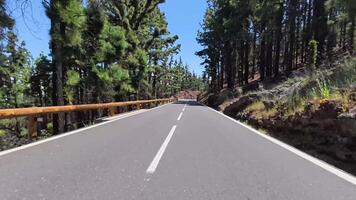 A road with trees on both sides and i fence video