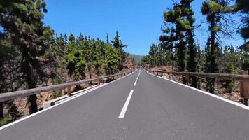 A road with trees on both sides and a bring video