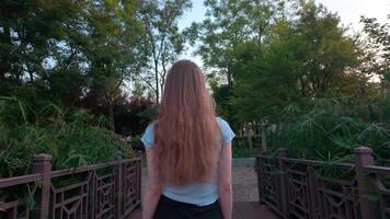 Rear View of Woman Standing in Green Park with Trees and Path. Back view of a woman with long hair standing on a stone path in a park. Surrounded by green trees, bushes, and a small white building in video