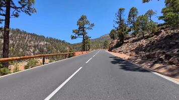 Embarking on a breathtaking and scenic road journey through the lush nature all around you, photo