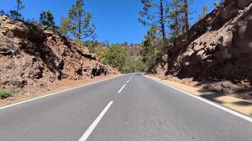 A scenic mountain road meanders through lush pine forests, rocky terrain, and natural beauty photo