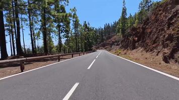 Discover a stunning mountain road through a lush pine forest, ideal for adventure and relaxation photo
