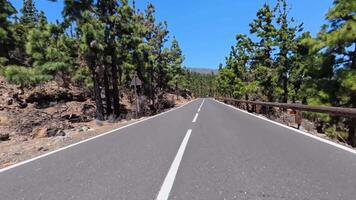 A Beautiful and Scenic Mountain Road, Enveloped by Vibrant Lush Trees and Rocky Terrain photo