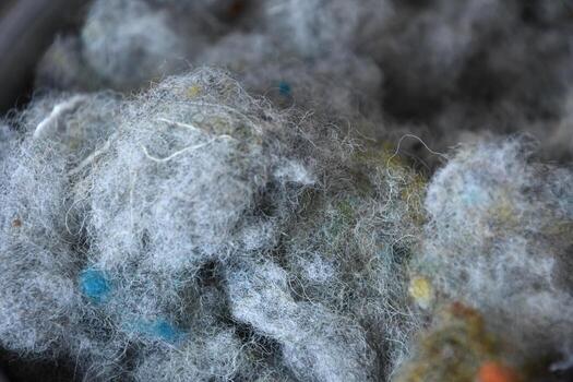 Collection of Sheared Blended Fleece Ready for Processing photo