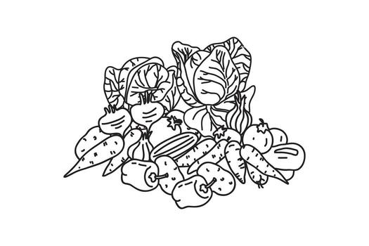 Set Line art botanical different vegetables isolated on white background.Hand drawn outline veggies with Cabbage Carrot Pepper Onion Potato Tomato illustration.Graphic design element collection vector