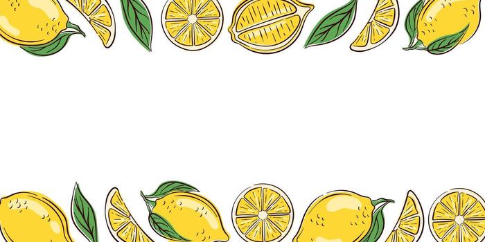 Lemon fruit border with whole lemon, slice, leaf on white background. Perfect for website banner, packaging store, card and summer invitation design. vector