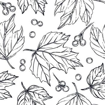 Viburnum berry, leaves of the viburnum shrub, all objects are hand-drawn in ink and converted into . Seamless Pattern for Printing on Fabric, Paper, For Packaging Design, Textile vector