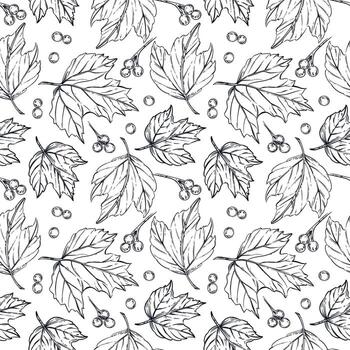 Seamless pattern of viburnum berries, leaves of viburnum shrub. All objects are hand-drawn in ink converted into . The illustration is suitable for printing on fabric, paper, for design vector