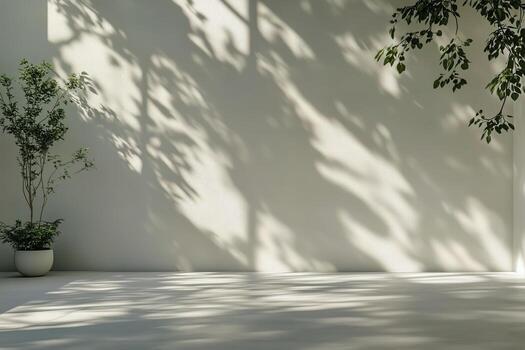 Natural Light Creates Beautiful Shadow Patterns on a Minimalistic Wall With Indoor Plants photo