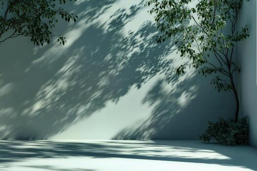Natural Light Creates Beautiful Shadow Patterns on a Minimalistic Wall With Indoor Plants. photo