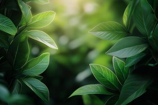 lozano verde hojas tomando el sol en luz de sol en un tranquilo bosque ambiente. foto