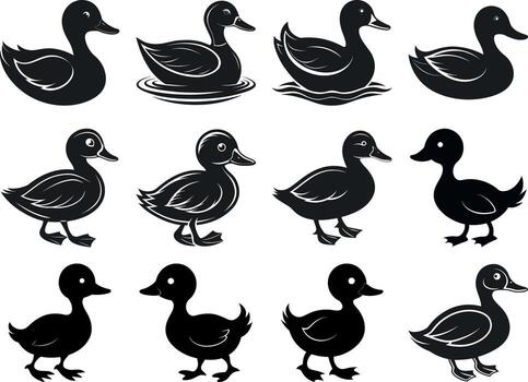 Art of collection of eagles in flight, showcasing their majestic wings and powerful presence in various dynamic poses and angles vector