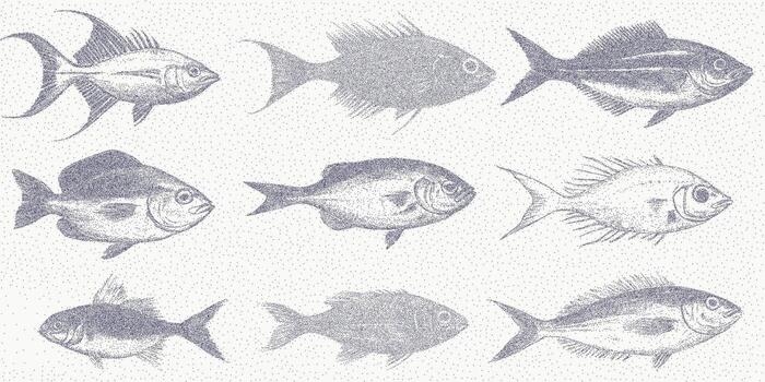 Fish of different shapes. Graphic form with halftone threshold, dusty grain and stipple grit. Textured edge with smudged ink and scattered surface noise. vector