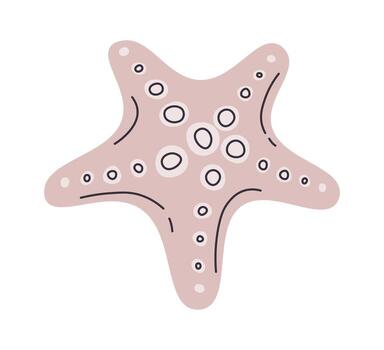 Starfish with Circular Patterns vector