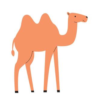 Smiling Camel with Two Humps vector