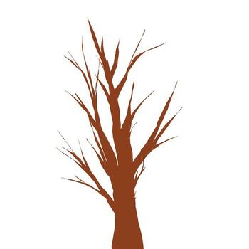 tree with no leaves on a white background vector