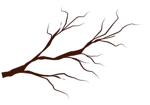 tree branch with no leaves on it vector