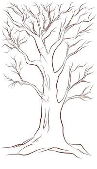 árbol contorno bosquejo con No hojas vector