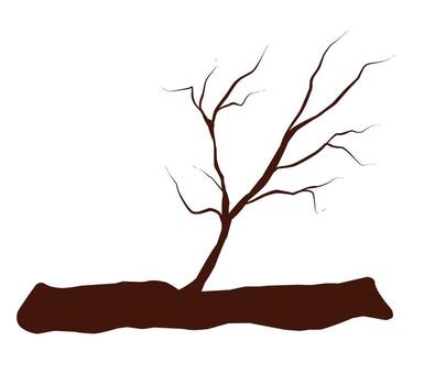 dead tree trunk with no leaves on a white background vector