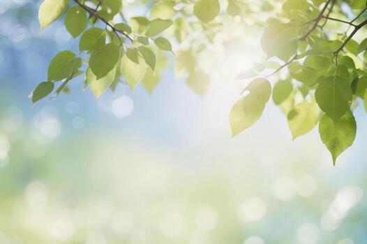 primavera temporada resumen naturaleza antecedentes con árbol hojas y azul cielo a espalda frente y ligero azul borroso antecedentes en sutil bokeh a espalda foto