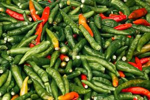 picante caliente rojo y verde pimienta15 foto