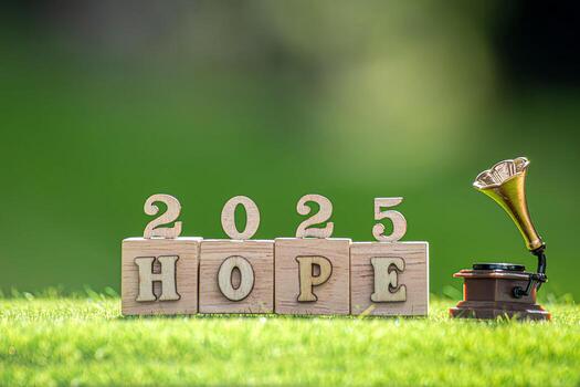 Action Plan 2025 Cube with text 2025 plans, goals, actions to list and plan for next year. Wooden cube with year 2025, plans, goals, actions, development19 photo