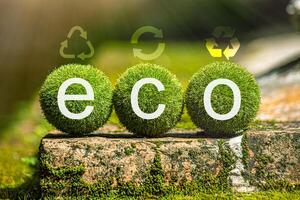 eco eso es corto para ecología, cuales medio conservando y utilizando recursos eficientemente. esta es un el ahorro de energía modo. Si usted utilizar el eco función, eso será ayuda usted salvar energía. foto