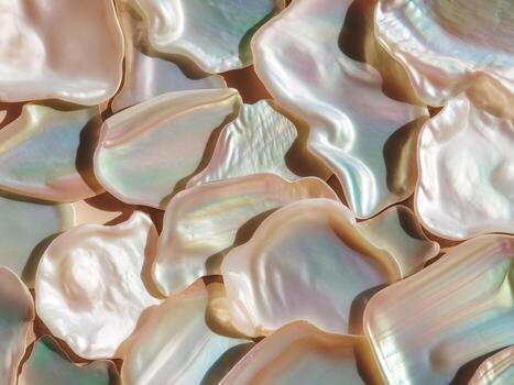 Close-up of iridescent mother-of-pearl shells creating a shimmering, colorful background. photo