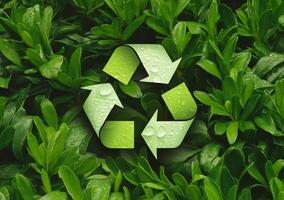 verde reciclaje símbolo en vibrante hojas, simbolizando sustentabilidad y ambiental conciencia. foto